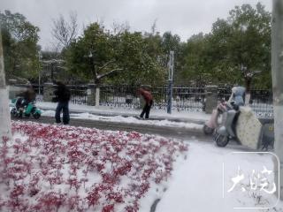 最大降雪量24.4毫米 安徽16市全部监测到积雪