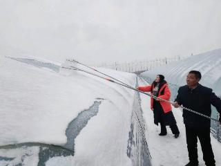 平安产险江苏分公司：冰雪寒潮下的“逆行者” 筑牢农业生产安全防线