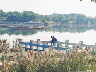 大风呼呼吹气温一路降 今明鹭岛最低温跌至9℃