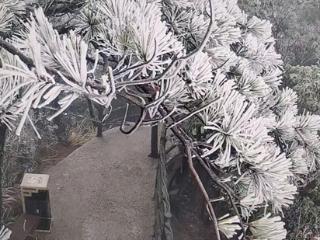 大寒雪落灵山！冬日限定美景已陆续上线