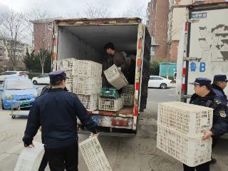 青岛西海岸新区隐珠街道综合执法中队开展“靓街净院”市容环境整治行动