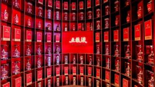 跨越顶奢与潮饮的“美酒+美食”表达五粮液全力构建中国白酒全球新叙事