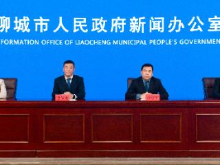 聊城发出绿化“保护令”！破坏绿植要追责