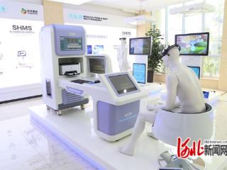 秦皇岛惠斯安普以原创科技破局阿尔茨海默病早筛难题