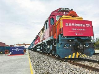 首趟云南咖啡豆专列抵厦 让国产咖啡豆从厦门飘香全国