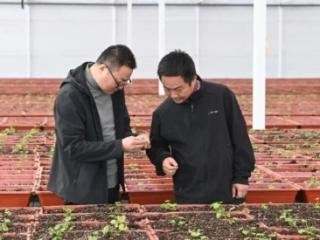 安徽首个5G智慧农业高硒植物工厂：让富硒产品融入百姓日常饮食