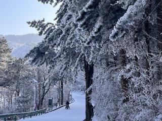 雪霁鹞落坪 蓝天白雪美如画（图）