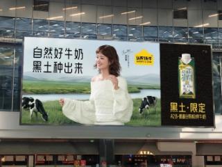 认养一头牛官宣品牌代言人赵丽颖