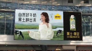 认养一头牛官宣品牌代言人赵丽颖