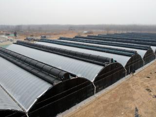 答卷“十四五” 潮涌起步区||归雁赵振华与他的“黄河田园梦”