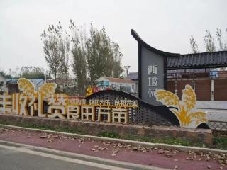 济南起步区：乡村振兴见实效 绘就宜居宜业新画卷