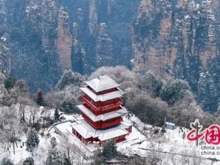 踏雪赏梅之旅 中外游客共赏张家界冬日限定仙境