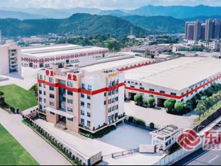 以条例为引 护民企远航——兴业银行龙岩分行落地首笔“豁免不必要担保”贷款，为实体经济注入强心剂