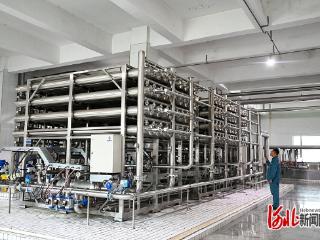 “十五五”开局看河北｜玉锋集团把玉米价值链越拉越长