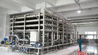 “十五五”开局看河北｜玉锋集团把玉米价值链越拉越长