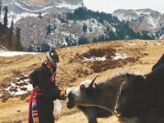 一群人温暖一片雪域草原