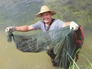 “一只虾”带富一个村