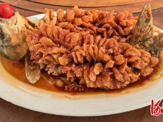 兴隆县农广校：学用贯通，学习成果展示与交流精彩纷呈