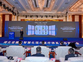 湖北中医药大学、湖北时珍实验室突破性成果亮相湖北省智慧化现代医疗体系建设发布会