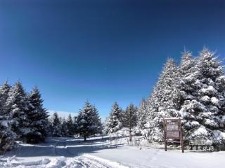 从“雪岭驯鹿”到“冰漂温泉”：年轻人扎堆延边，解锁冬日“找虐”新快乐!