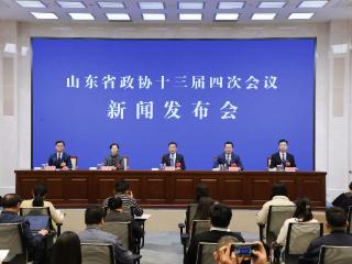 2025年省政协开展委员履职“服务为民”活动700余次