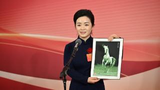 2026代表通道丨贾艳梅：用一把剪刀剪出非遗的时代新篇