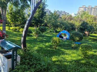 城市更新 共创美好｜ 从赏绿到享绿！让家门口的“诗与远方”触手可及