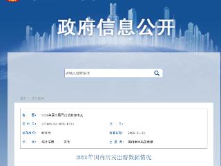 2025年国内居民出游人次65.22亿