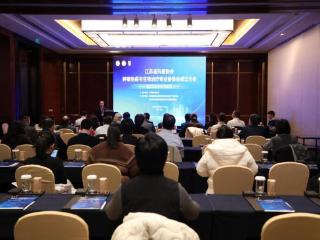 从“天价”到普惠：肿瘤免疫治疗十年巨变，进入“全周期可及”新时代