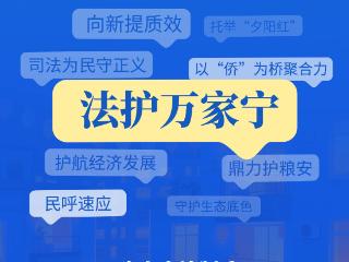 海报丨2025河南人大关键词 实干开新局