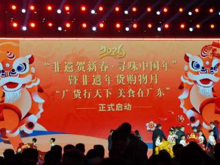 2026年“非遗贺新春·寻味中国年”主题推广暨非遗年货购物月羊城开启