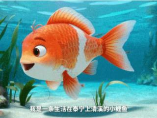 28年前一条鱼的经历，改变了福建一地人们的生活……