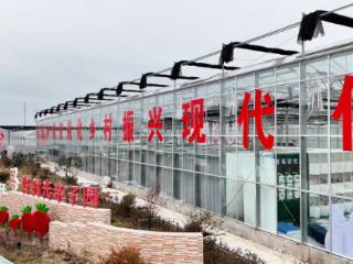 盐城盐都：空中炫“莓”景 新岁享丰甜