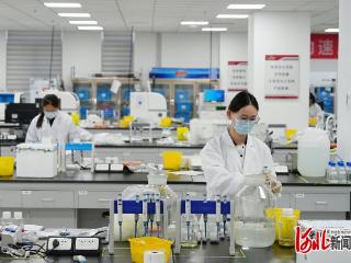 聚焦2026河北两会·深度观察｜创新驱动，加速新旧动能转换