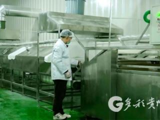 凤冈六里村：小米皮“磨”出共富路 集体经济焕发生机