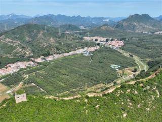 湖北大悟：答好驻村帮扶“新考卷” 绘就乡村振兴“幸福景”