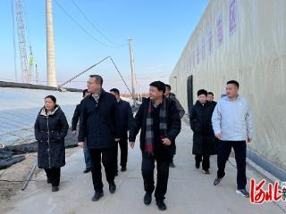 河北农业大学专家团队深入望都县开展设施枣智慧化栽培指导