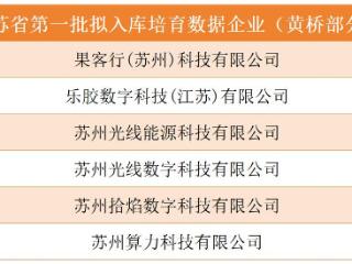 全省首批数据企业培育库！黄桥+6！
