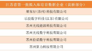 全省首批数据企业培育库！黄桥+6！