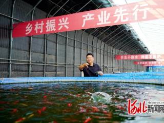 河北省乐亭县：村书记“双创”大赛结硕果 激活乡村振兴新动能