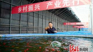 河北省乐亭县：村书记“双创”大赛结硕果 激活乡村振兴新动能