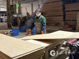 赤水：从“一根竹”到百亿产业 绘就“中国竹都”崛起新图景