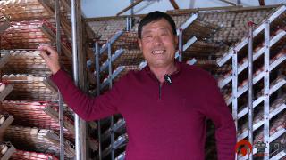 “鸡司令”年孵百万鸡苗 小院孵化场孵出乡村振兴“金蛋”