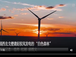 中国西北戈壁建起驭风发电的“白色森林”