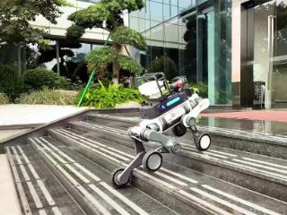 从人力巡防到智能巡护：云深处科技机器狗重新定义园区安全