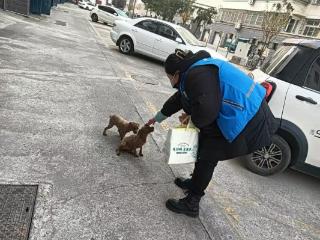 济宁市任城区安居街道八里庙社区开展“文明养犬，共建和谐家园”宣传活动