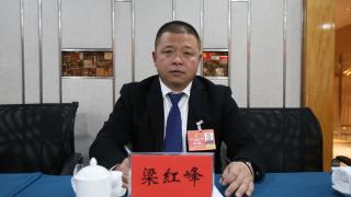 2026吉林两会•代表故事｜梁红峰：建议明确退耕还林地发展人参、木耳等林特产业种植标准