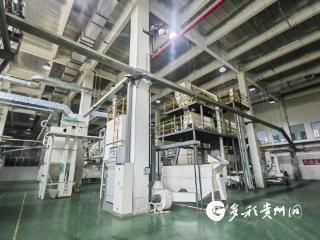 一颗播州辣椒的全球之旅