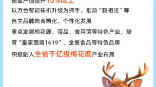 一图读懂：辽源破局无高铁历史，全力赋能都市圈建设