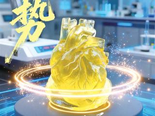 杭州有个“绘生工厂” 器官也能3D打印了